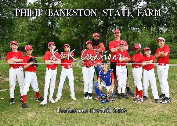 5X7 PB STATE FARM TEAM