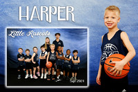 HARPER HILLS MM