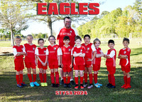 EAGLES - HARPER