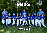 5X7 CUBS TEAM