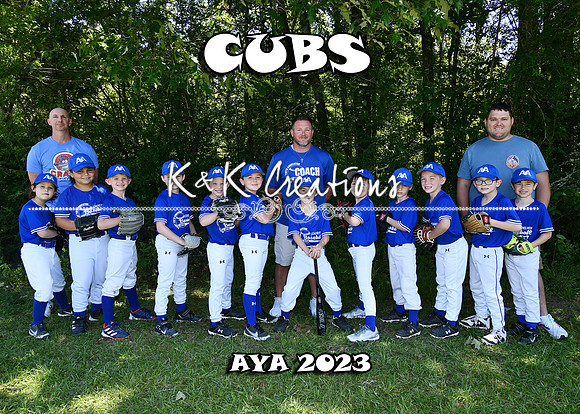 5X7 CUBS TEAM