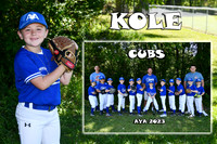 KOLE FOSTER MM