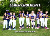 9-10 Girls Elmer Chocolate