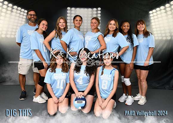 5X7 DIG THIS TEAM