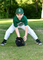 lincoln stafford_8684