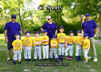 5x7 ci sports tball team