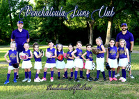 6cp Girls Ponchatoula Lions Club