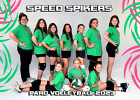 SPEED SPIKERS 10-12