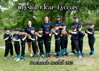5x7 crystal clear eyecare team