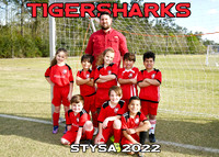 TIGERSHARKS - Coach BJ Hill