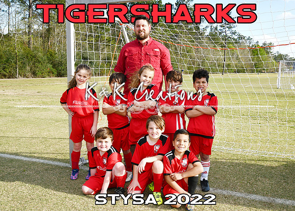 5x7 tigersharks coach bj hill team