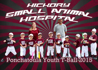hickory small animal team