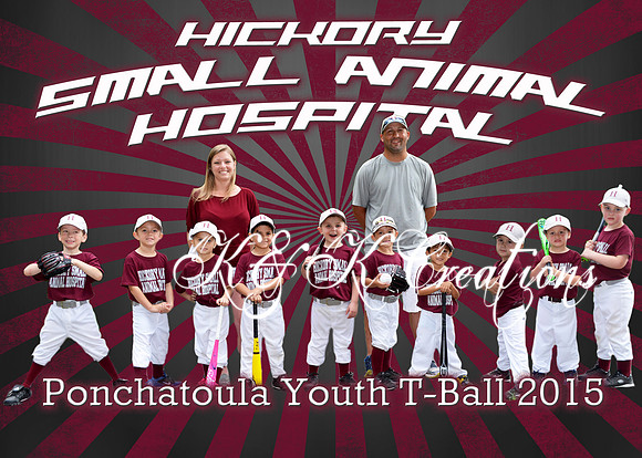 hickory small animal team
