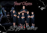 5x7 sponsor picture PANTHERS YOUR CHOICE