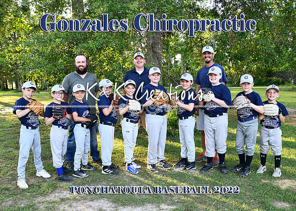 5x7  9 10 gonzales chiropractic team