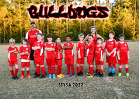 BULLDOGS - JASON HASTINGS