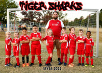 5X7 TIGERSHARKS BJ HILL TEAM