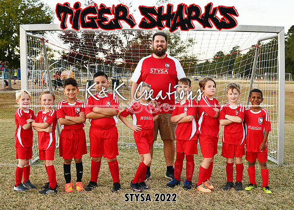 5X7 TIGERSHARKS BJ HILL TEAM