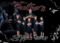 5x7  PANTHERS YOUR CHOICE