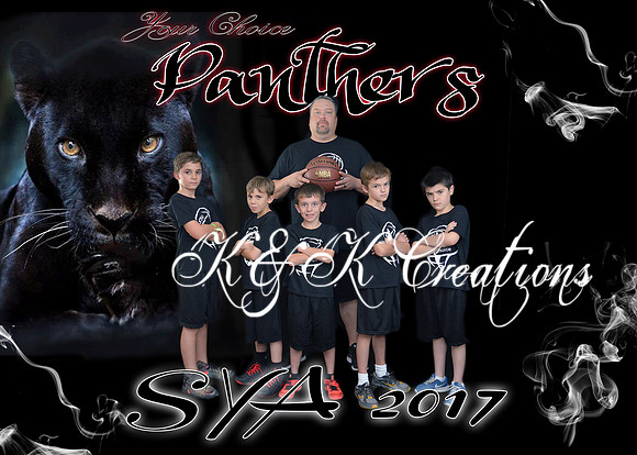 5x7  PANTHERS YOUR CHOICE