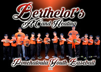 berthelot's team_5x7