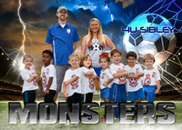 5X7 STYSA 4U SIBLEY MONSTERS