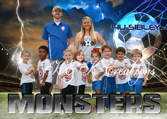 5X7 STYSA 4U SIBLEY MONSTERS