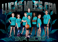 5X7 LUCAS MILES CPA TEAM
