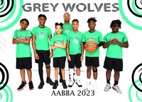 GREY WOLVES