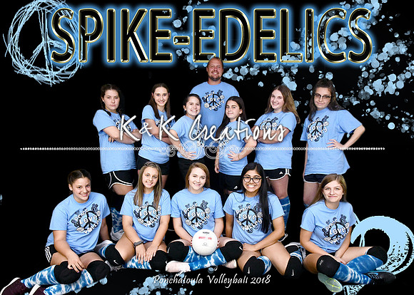 5X7 SPIKE EDELICS TEAM