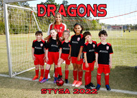 DRAGONS - Coach Abby Laine