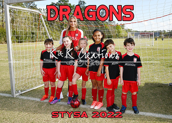5X7 DRAGONS ABBY LAINE TEAM