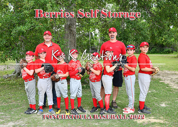 5x7 9 10 berries self storage team
