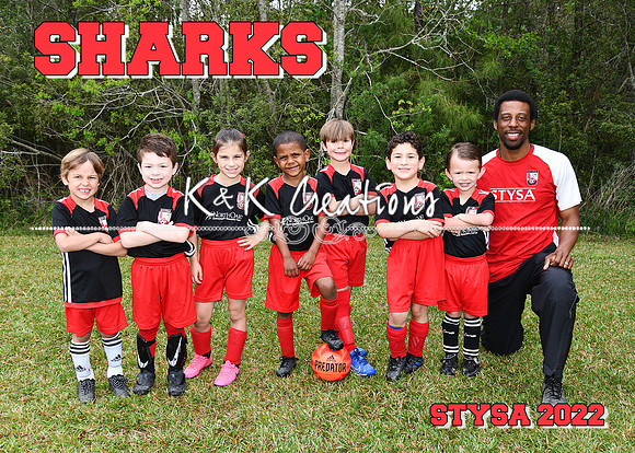 5X7 SHARKS COACH RYAN