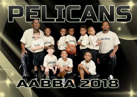 5X7 PELICANS AABBA 2018 TEAM