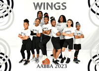 WINGS