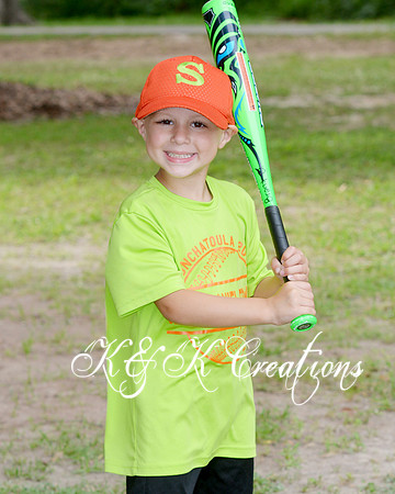 brant_dickens_3
