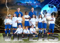 5x7 9-10U taylor vipers stysa team