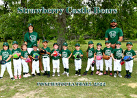 TBall Strawberry Castle Bears