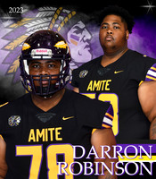 DARRON ROBINSON BANNER
