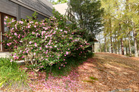 KKC_5969