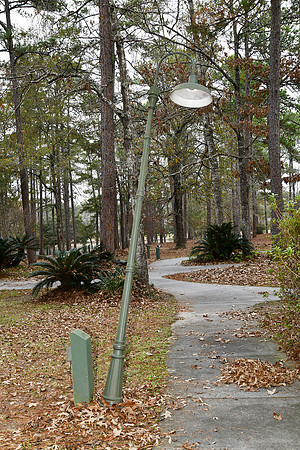 KKC_5985