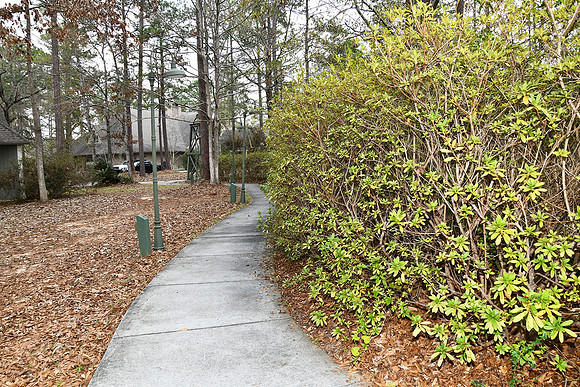 KKC_5988