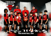 9-10 BOYS BULLS