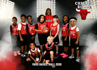 7-8 BOYS BULLS