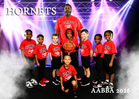 HORNETS