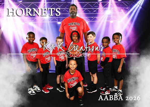 5X7 HORNETS TEAM