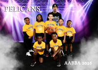 PELICANS