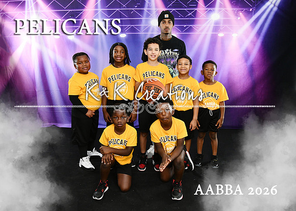 5X7 PELICANS TEAM