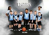 TIGERS